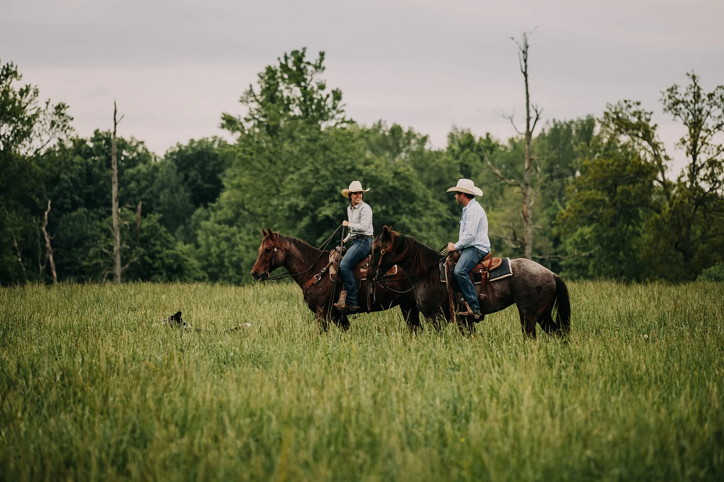 Sixth-Generation Quality, Ranch-to-Table Excellence